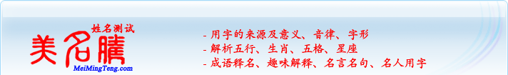 用字的來源及意義、音律、字形；五行、生肖、五格、星座；成語釋名、趣味解釋、名言名句、名人用字