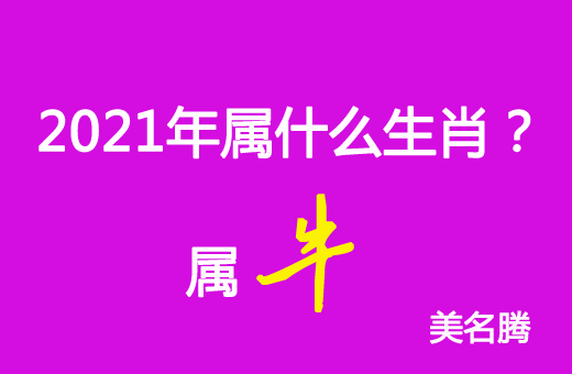 2021年屬什么生肖？2021年屬牛